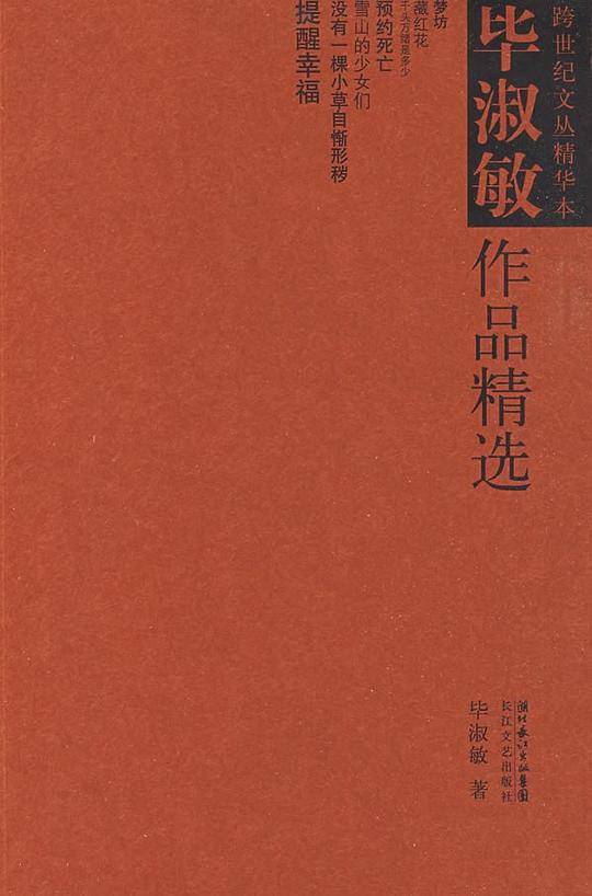 毕淑敏作品精选