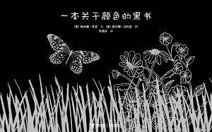 一本关于颜色的黑书