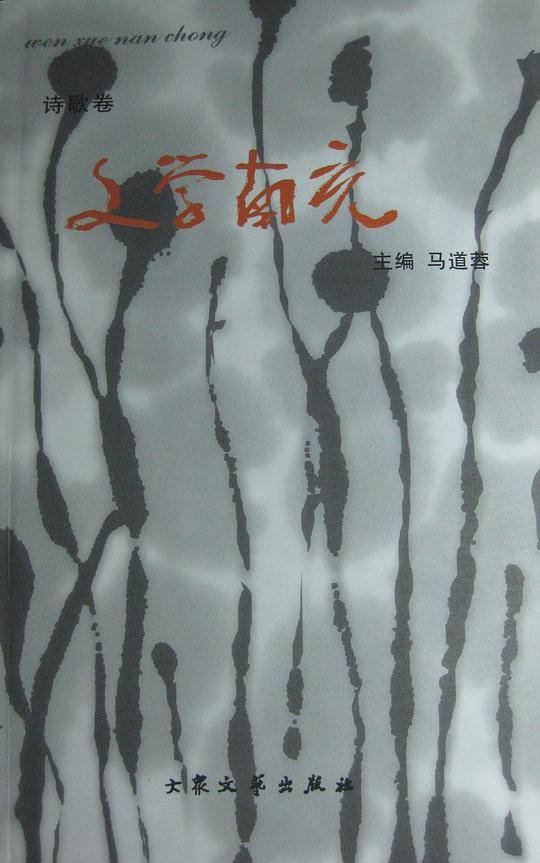 文学南充