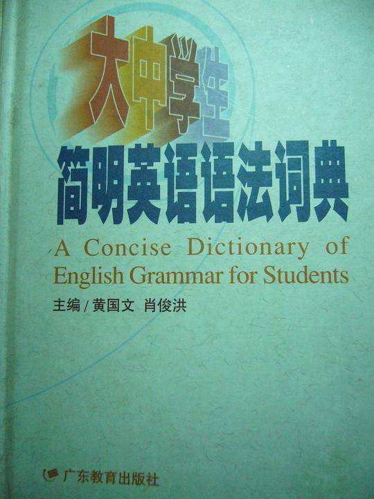 大中学生简明英语语法词典