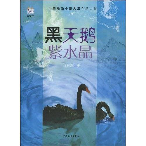 淘淘丛书·黑天鹅紫水晶