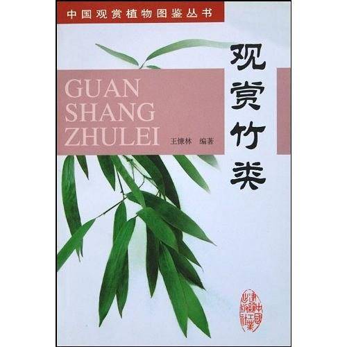 观赏竹类