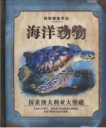 海洋动物