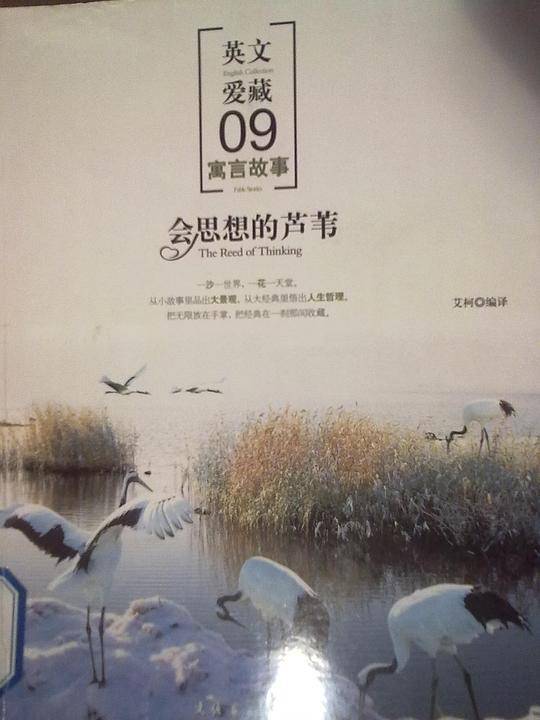 会思想的芦苇