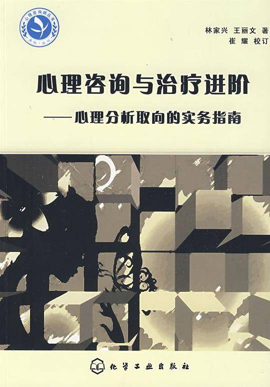 心理咨询师继续教育丛书：心理咨询与治疗进阶-心理分析取向的实务指南
