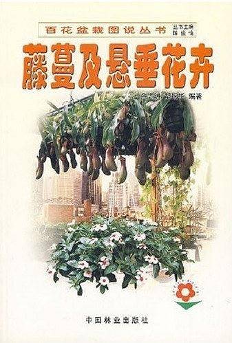 藤蔓与悬垂花卉——百花盆栽图说丛书