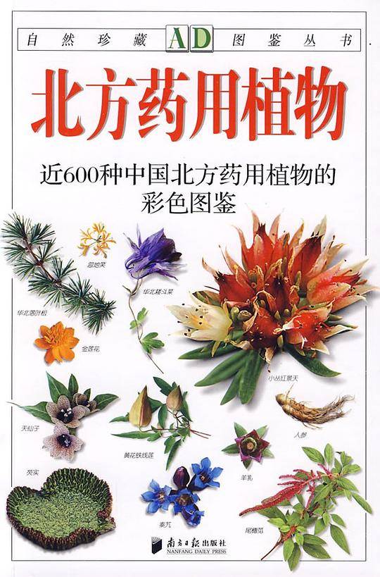 北方药用植物