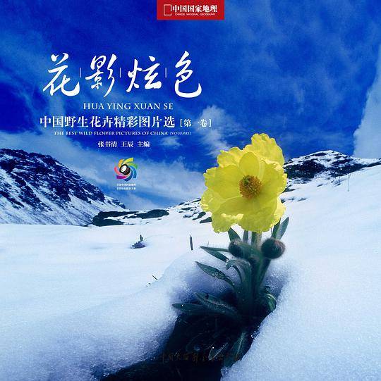 花影炫色