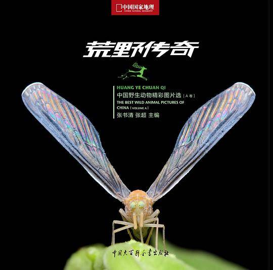 中国国家地理-荒野传奇-中国野生动物精彩图片选B