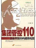 集团管控110
