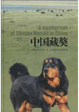 中国藏獒