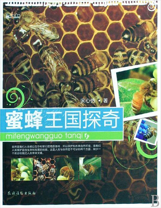 蜜蜂王国探奇