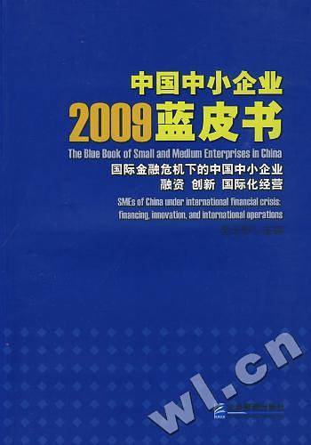 中国中小企业2009蓝皮书