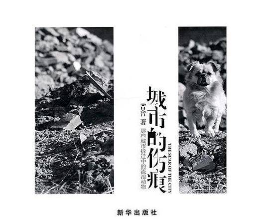 城市的伤痕
