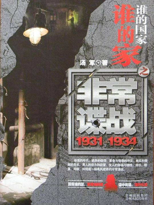谁的国家谁的家之非常谍战