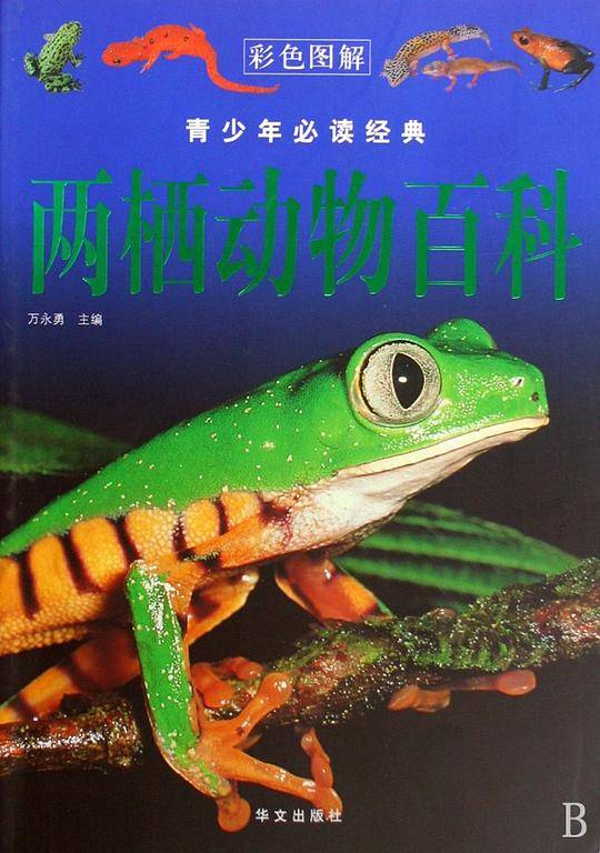 两栖动物百科