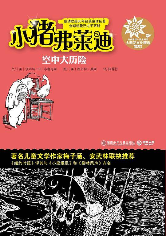 空中大历险