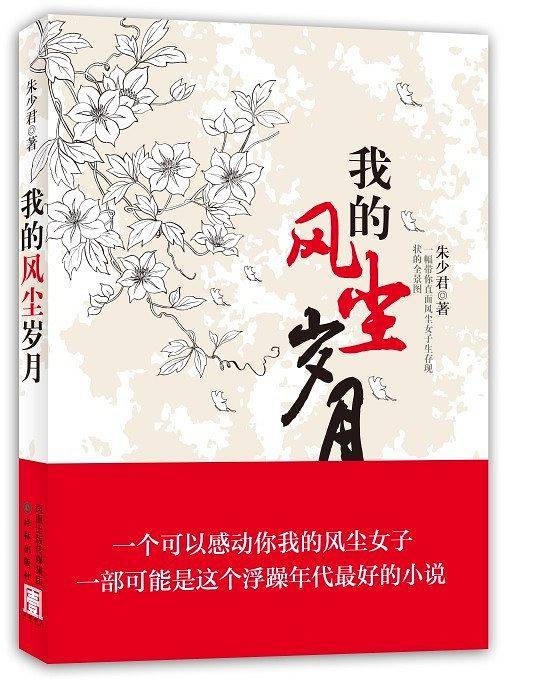 我的风尘岁月