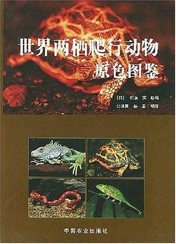 世界两栖爬行动物原色图鉴