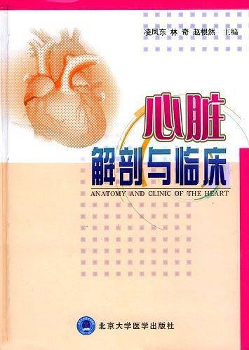 心脏解剖与临床