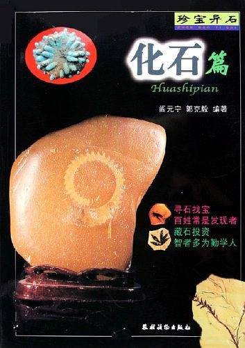珍宝异石。化石篇