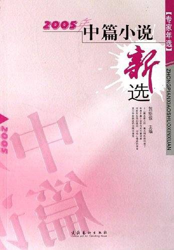 2005年中篇小说新选