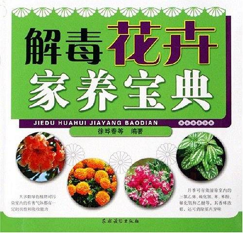 解毒花卉家养宝典