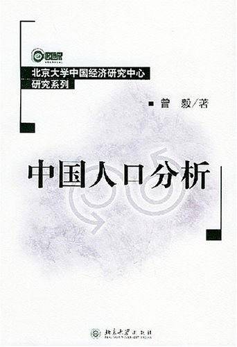 中国人口分析/北京大学中国经济研究中心研究系列