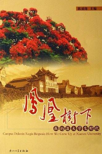 凤凰树下