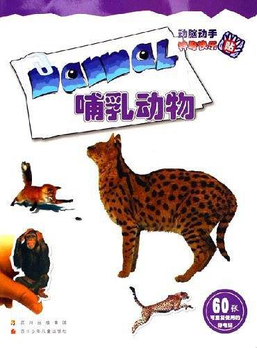 哺乳动物-动手动脑神奇快乐贴