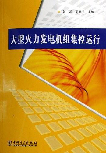 大型火力发电机组集控运行