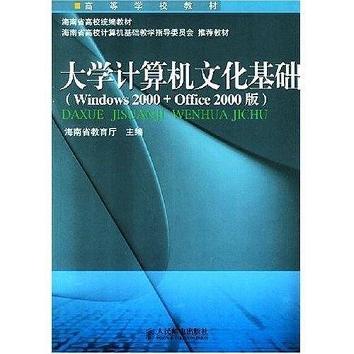 大学计算机文化基础
