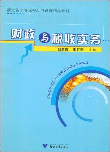 财政与税收实务