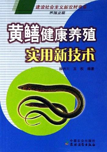 黄鳝健康养殖实用新技术