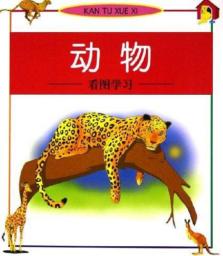 恐龙/看图学习
