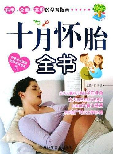 十月怀胎全书