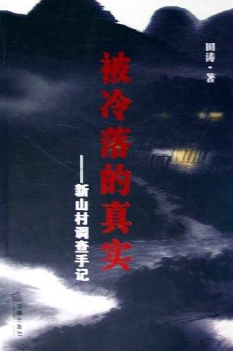 被冷落的真实：新山村调查手记