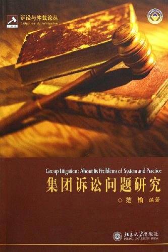集团诉讼问题研究