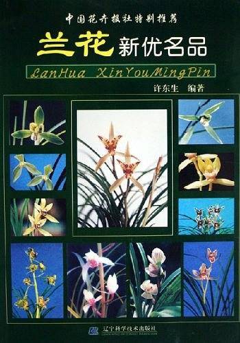 兰花新优名品