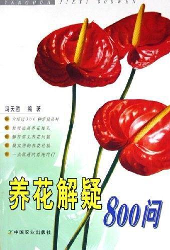 养花解疑800问