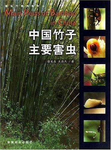 中国竹子主要害虫