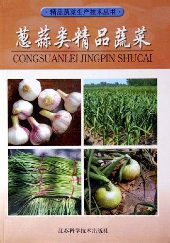 葱蒜类精品蔬菜