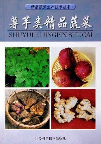薯芋类精品蔬菜