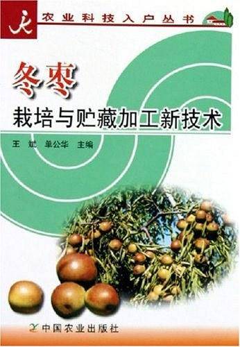 冬枣栽培与贮藏加工新技术