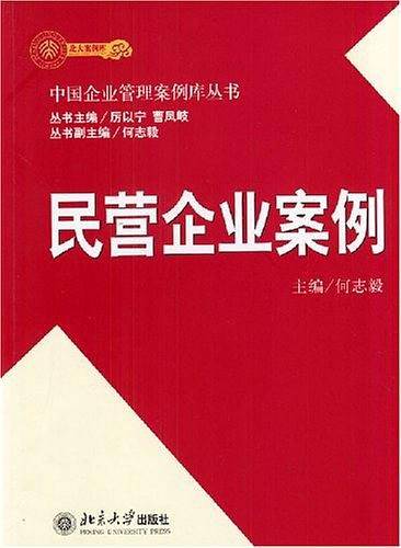 民营企业案例