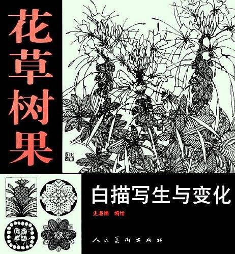 花草树果白描写生与变化