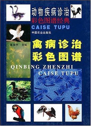 禽病诊治彩色图谱