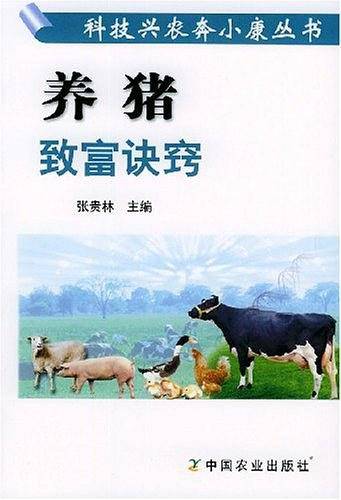 养猪致富诀窍