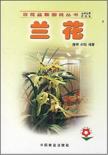 兰花