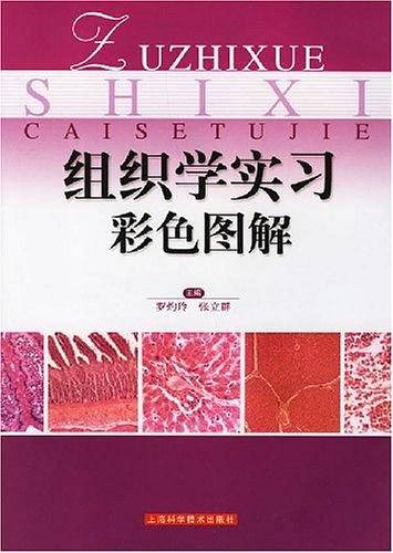 组织学实习彩色图解